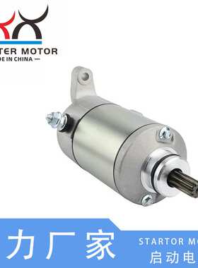 31100-19F00 31100-19F10启动电机适用于Suzuki DL650SV650 99-10