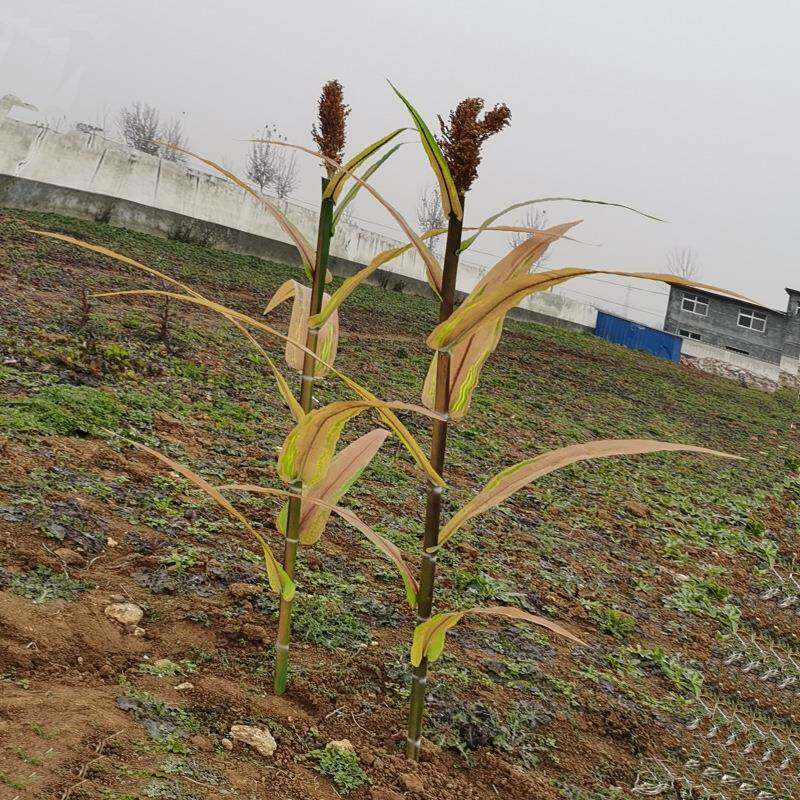 仿真植物春秋高粱农作物树叶工程博物馆布景拍摄高粱玉米厂家