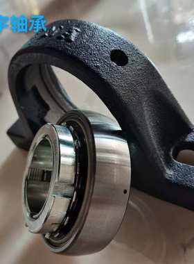 德国 RASEA40 RASEA50 RASEA30带座外球面轴承带紧定套外球面轴承