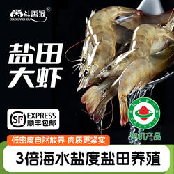 渤海湾有机盐田大虾活冻海鲜南美对虾气冻大号3斤孕妇儿童海虾鲜