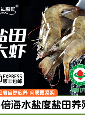 渤海湾有机盐田大虾活冻海鲜南美对虾气冻大号3斤孕妇儿童海虾鲜