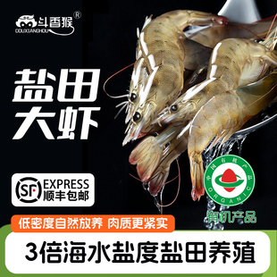 渤海湾有机盐田大虾活冻海鲜南美对虾气冻大号3斤孕妇儿童海虾鲜