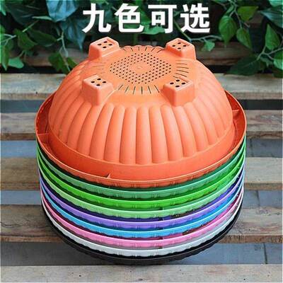 太阳花种植盆黄金葛专用大花盆树脂加厚吊兰圆形花盆阳台绿植四脚