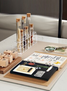 样板房书房书桌软装摆件花艺儿童房昆虫植M物干花标本主题装饰品