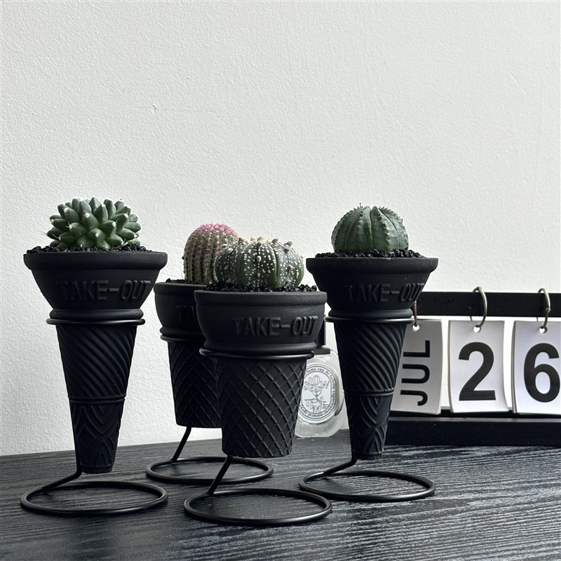 潮流块根植物仙人球组合盆栽创z意礼品办公室桌面红太阳布纹球雪