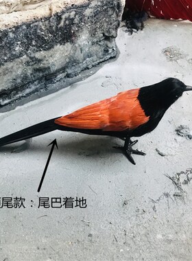 仿真红毛鸡户外庭院装饰品流水工艺品场景布局Q小摆件教学演示道