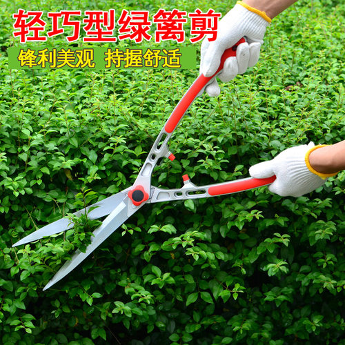 园艺工具绿篱剪草坪剪修枝剪花草剪刀园林绿化修枝剪花.剪草大剪