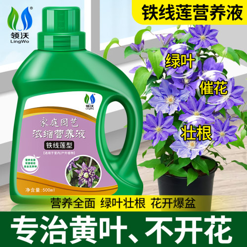 速发线铁莲肥料专用肥营植液家庭台园艺室内户外花卉养物盆栽通用