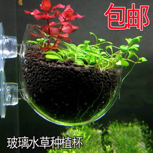 速发草杯鱼缸水族箱饲育造景盆缸内型水草种植杯草造景盆