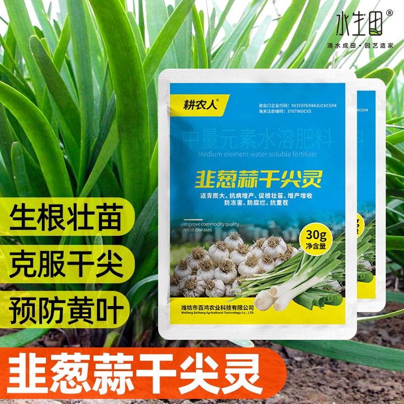 速发韭葱养干尖灵叶面大肥葱姜蒜韭菜药水溶肥防黄叶一喷绿营蒜液