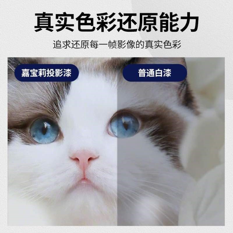 速发嘉宝莉漆抗光油漆漆投影幕投影漆墙面漆投影荧幕高清展会布墙