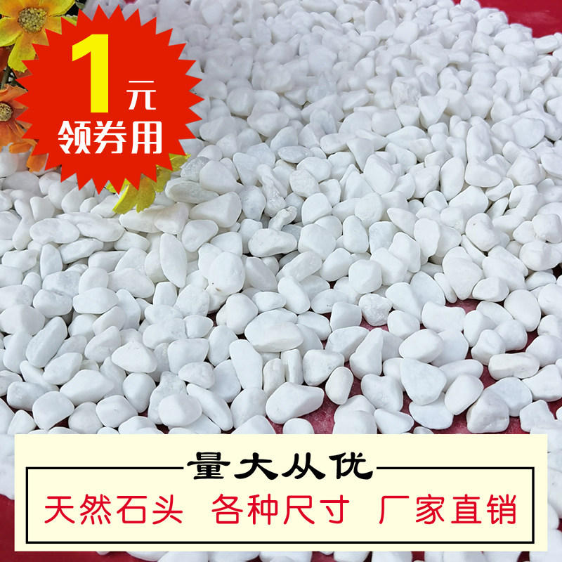 速发小石头鹅卵石雨花石白色小石子饰石子花盆盆栽多肉装白铺面