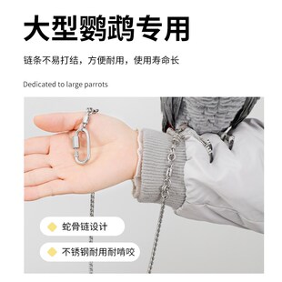 中大型鹦鹉专用不锈钢脚链脚环免费刻字开口活扣防拆不伤脚蛇骨链