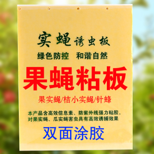 双面果蝇针蜂粘粘虫板板瓜实蝇粘胶板诱粘板果蝇引诱剂桔小实蝇性