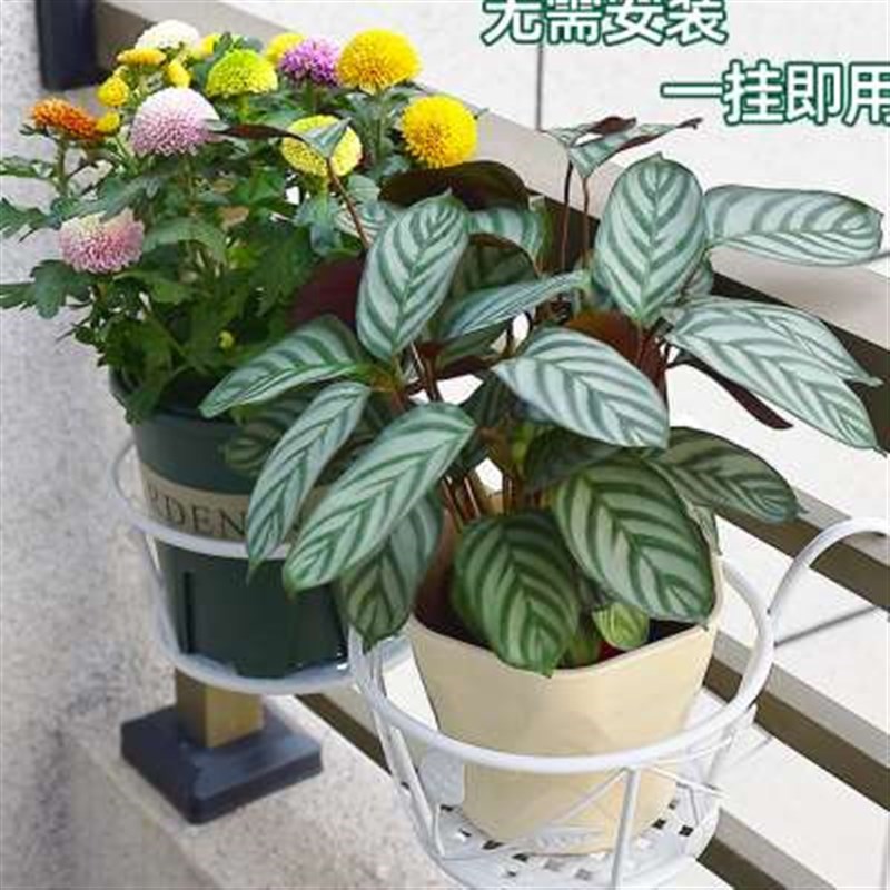 速发艺花盆花架栏杆悬吊式铁台置物架家用窗台O绿萝挂兰小花架免