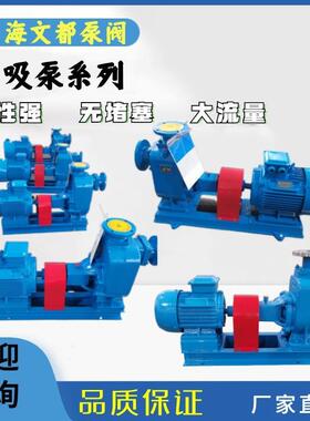 供应200ZX400-32自吸式清水离心泵不锈钢耐腐蚀化工工业循环水泵