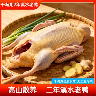 千岛湖散养老鸭高山溪水2年土鸭子麻鸭母鸭活鸭现宰整鸭顺丰冷链