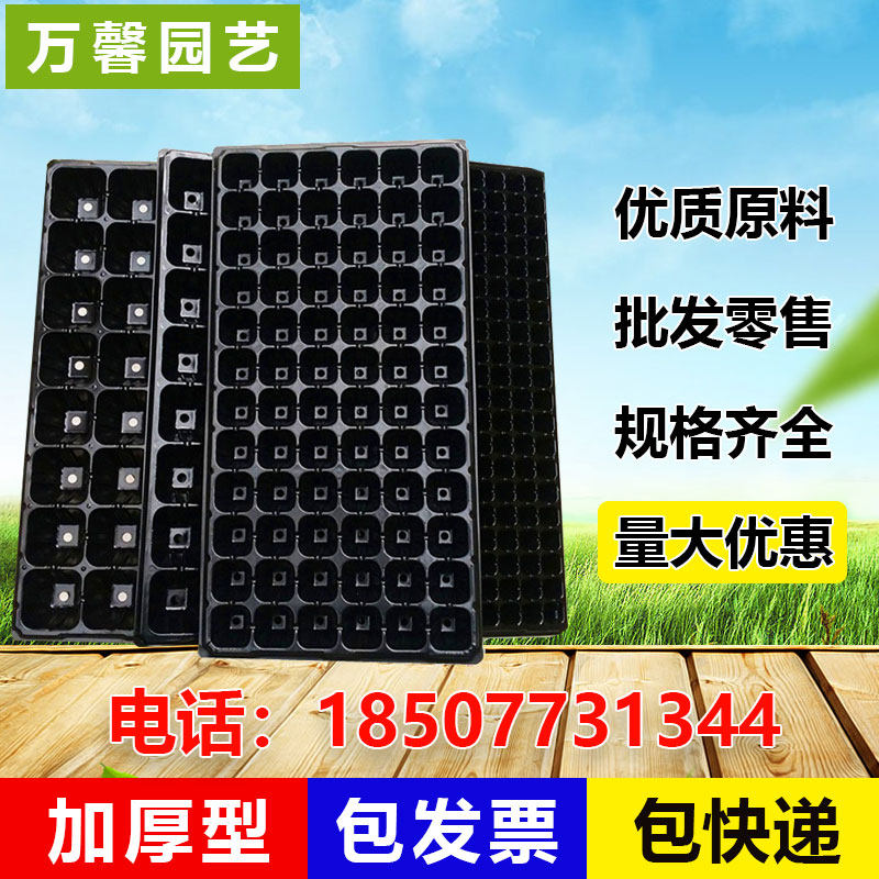 育苗盘穴盘草莓苗辣椒苗花v菜西蓝花蔬菜苗西瓜种子烟草育苗接水,鲜花速递/花卉仿真/绿植园艺,育苗盘/营养钵,淘宝优惠券,粉丝福利购,淘宝优惠卷