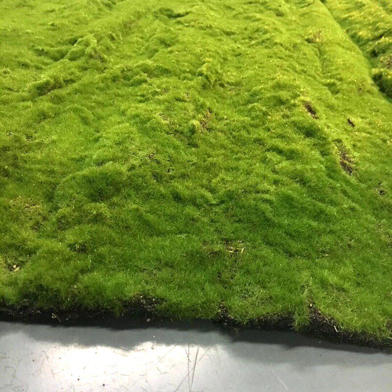 仿真青苔a藓草皮假苔藓仿真草坪仿真绿植物墙装饰橱窗墙面景观盆