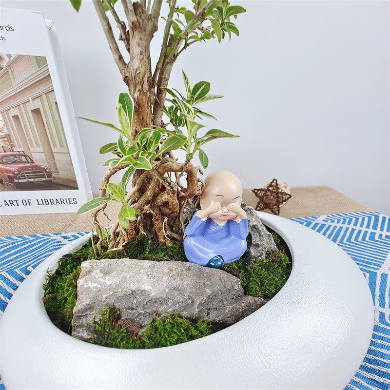 六月雪盆景造型老桩悬崖茶v室窗台花卉阳台室内绿植精品礼品盆栽,鲜花速递/花卉仿真/绿植园艺,造型盆景,淘宝优惠券,粉丝福利购,淘宝优惠卷