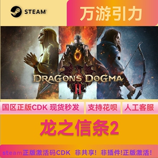 Steam中文正版 龙之信条2 Dragon's Dogma 2 国区激活码 现货秒发