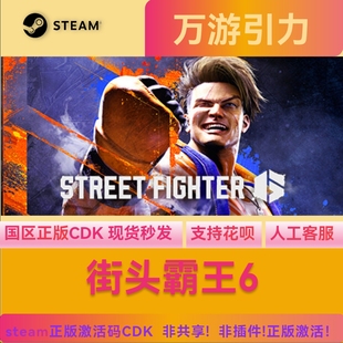 Steam正版街头霸王6 Street Fighter 6国区激活码CDKey现货秒发