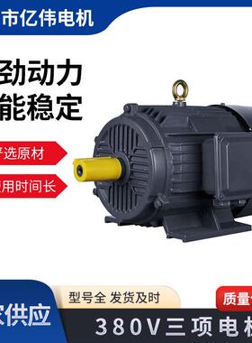 电机厂家直供YE2YE3系列15/22千瓦配套减速三相异步电机