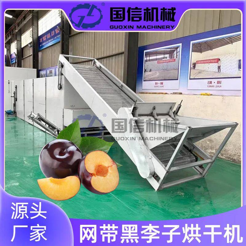 黑李子黑布林祛核烘干设备连续式果脯李子烘干机网带李子烘干机