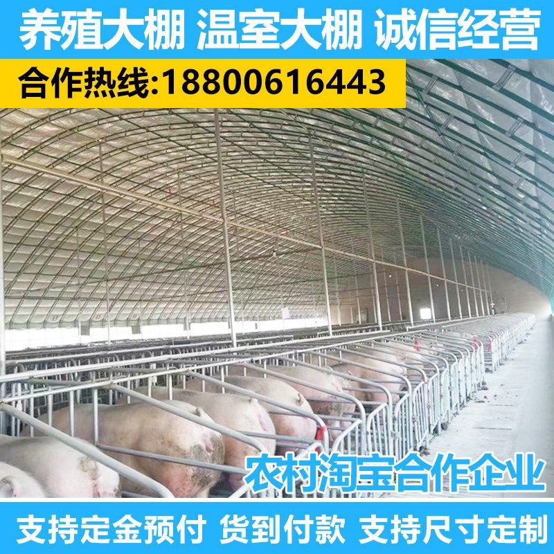 温室蔬菜大棚骨架钢管种植养殖家用西瓜草莓椭圆管棚定制配件全套