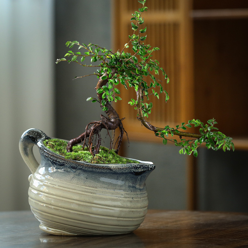 切口陶瓷花盆缺口粗陶多肉植物手工紫砂绿萝特大陶罐插花盆栽花器