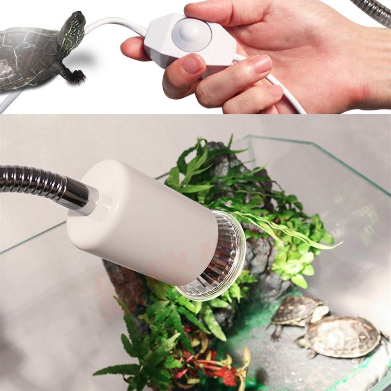 乌龟晒背灯uvb灯深水龟太阳灯加温加热灯宠物晒龟灯陆龟灯晒台灯,宠物/宠物食品及用品,照明器材,淘宝优惠券,粉丝福利购,淘宝优惠卷