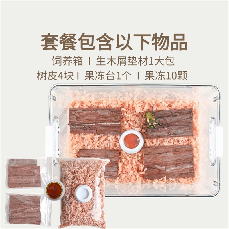 独角仙饲养盒甲虫饲养箱甲虫饲养盒独角仙饲养箱套装锹甲饲养盒图片