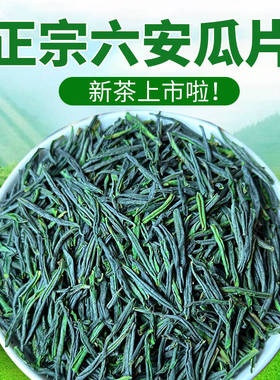 正宗六安瓜片2025年新茶安徽绿茶金寨茶叶雨前茶浓香型耐泡礼盒装