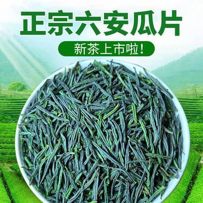 正宗六安瓜片安金寨产地直发茶叶
