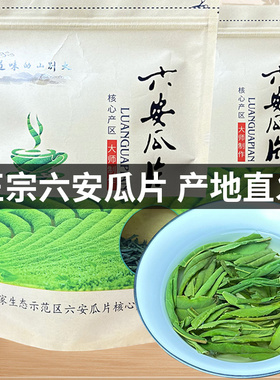 正宗六安瓜片2026年新茶安徽金寨茶叶雨前春茶浓香型耐泡口粮茶叶