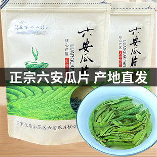 正宗六安瓜片2025年新茶安徽金寨茶叶雨前春茶浓香型耐泡口粮茶叶