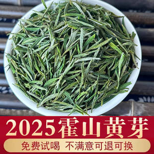霍山黄芽2025年新茶正宗安徽六安茶叶大别山明前嫩芽高山春茶罐装