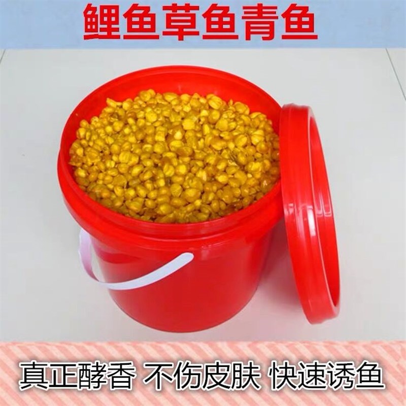 秘制老坛酒糟g发酵玉米小麦五谷杂粮野钓水库鲤鱼草鱼青鱼窝料饵
