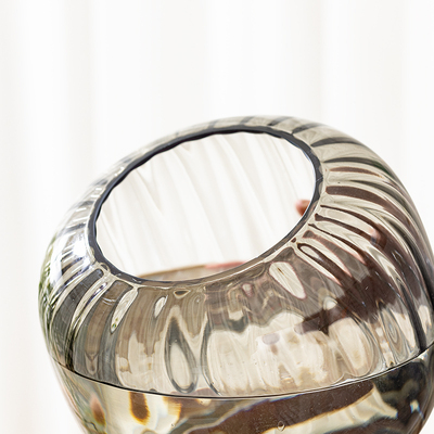 水培器皿创意玻璃花盆水养植物白掌E红掌绿萝大号花瓶透明插花摆