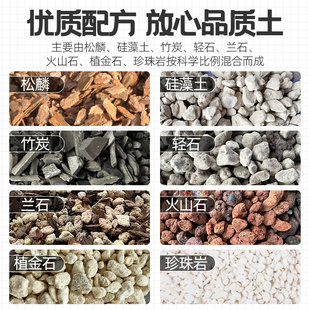 兰花专用土松磷兰草兰科营养土蝴蝶兰君子兰花土专用绿植壤营养土
