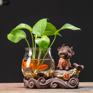 水培绿萝玻璃瓶透明养花花瓶水养鱼桌面陶瓷插花器皿居家装 饰摆件