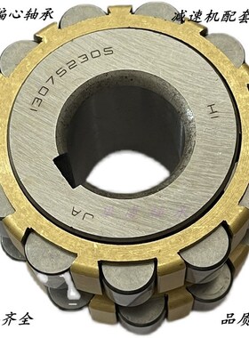 减速机圆柱整体偏心轴承70752305 80752305 100752305 130752305K