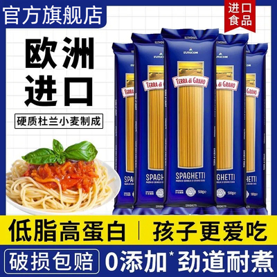 进口意大利面某刻500g低