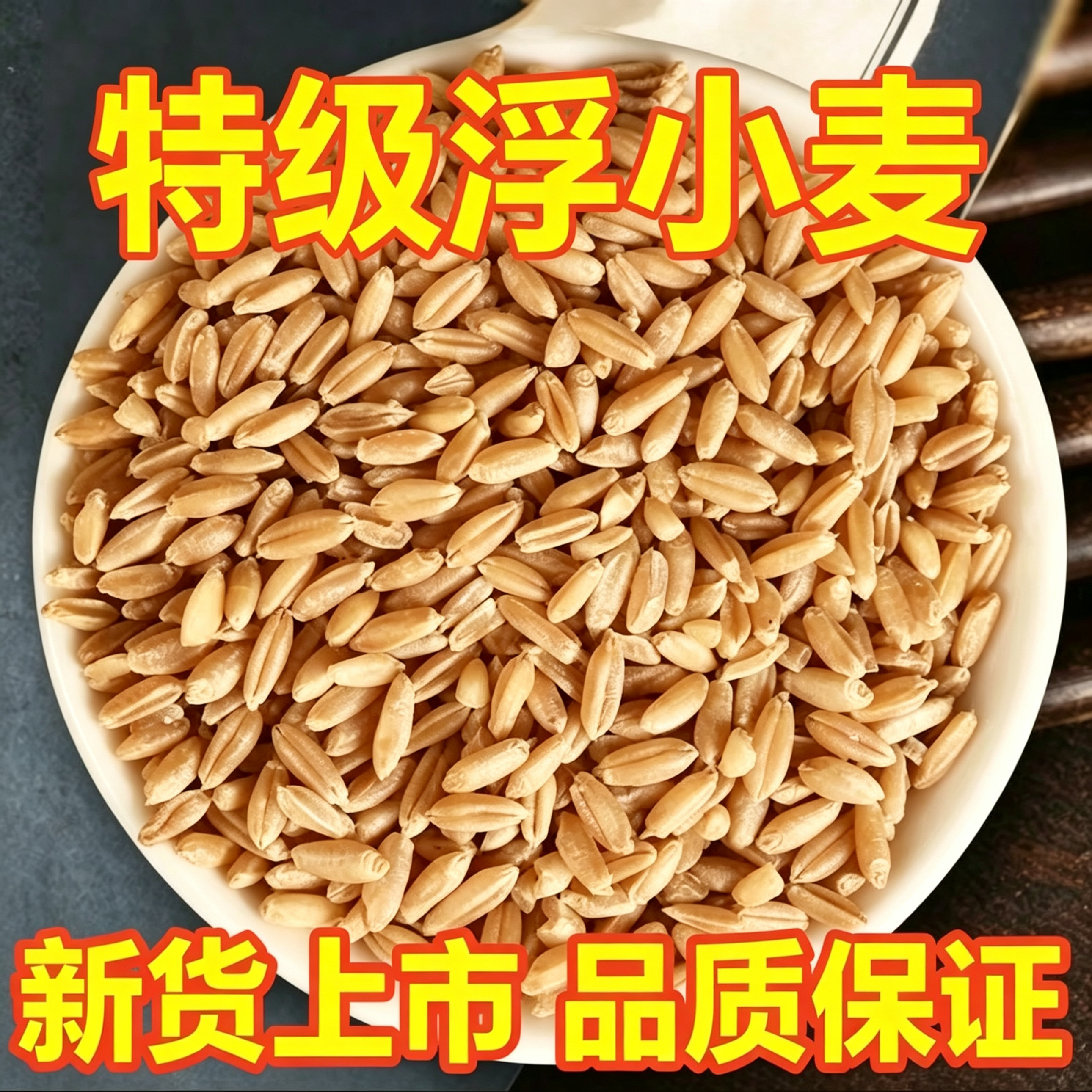 正宗浮小麦中药材旗舰店止汗茶止汗汤正宗小麦茶瘪麦子三伏天养生