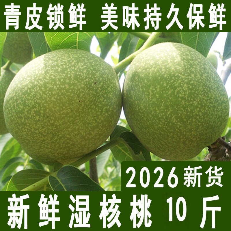 2026年新货带青皮新鲜湿核桃嫩核桃孕妇生核桃绿皮薄皮鲜核桃带皮