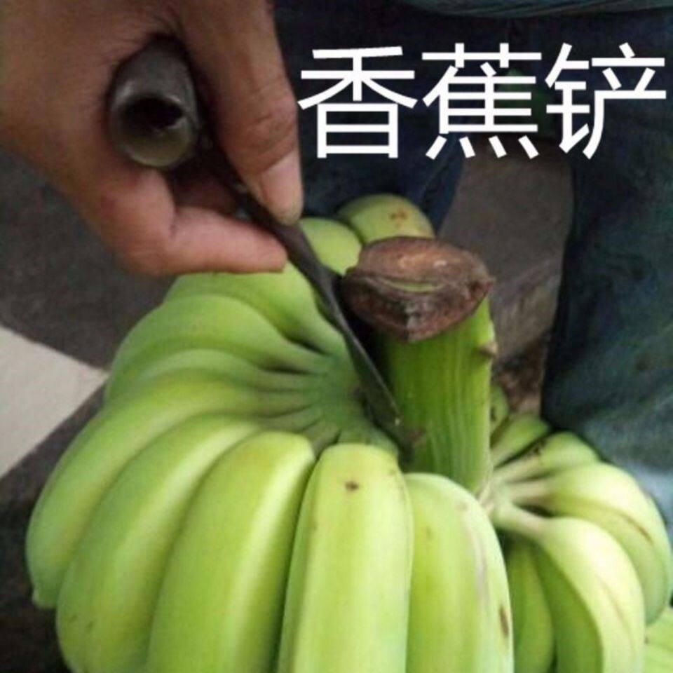 现货速发割香蕉刀省力下把刀 除芽铲切省力帮手香蕉果农刀铲省力
