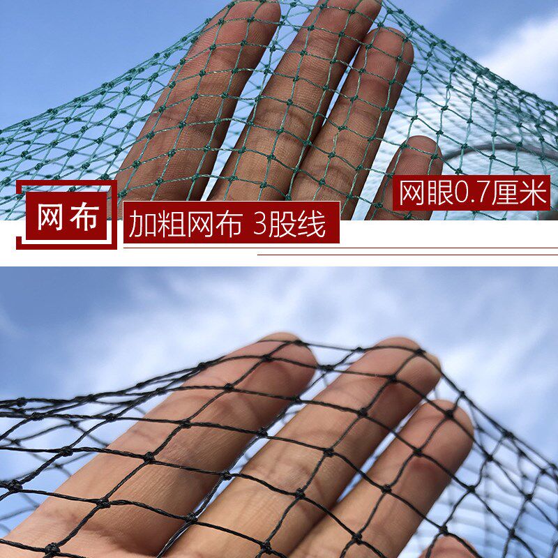 现货速发甲鱼笼黑鱼笼只进不出捕鱼螃蟹抓鱼虾地网笼折叠捕鱼花篮
