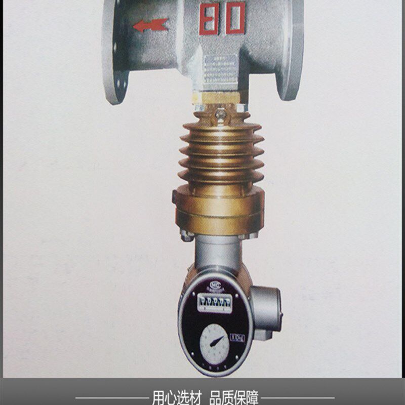 现货速发LFX-机械直读型分流旋翼式蒸汽流量计计量表D25 D50 D80