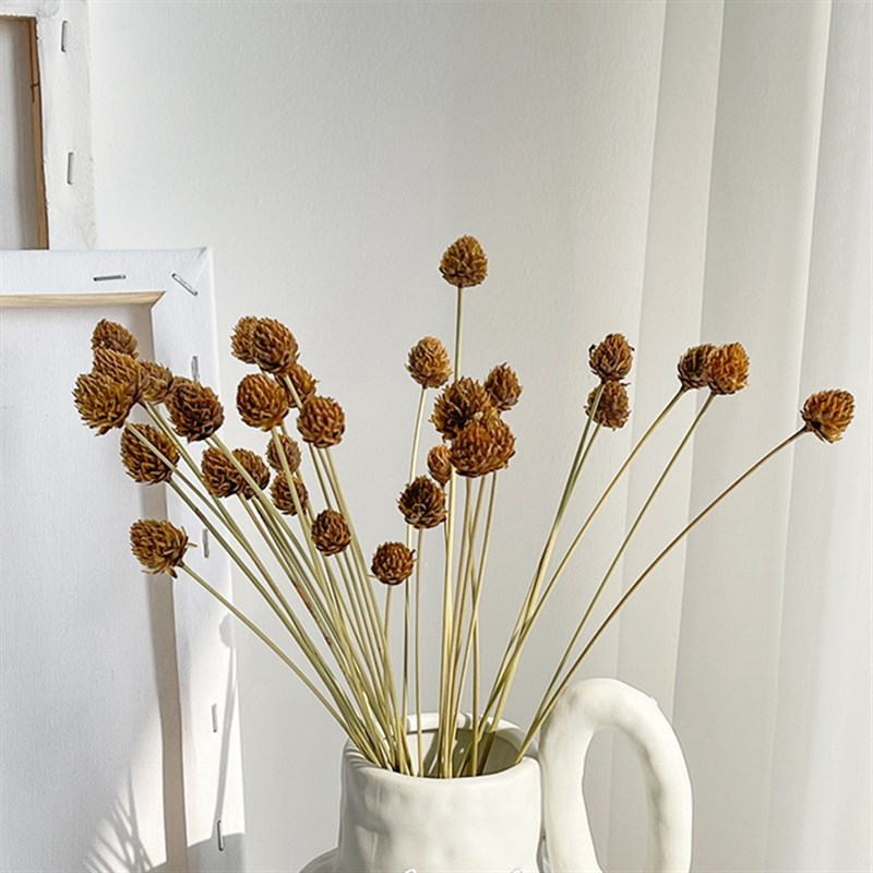 速发小山花松球花装生永花自然拍照道具插花创意干饰
