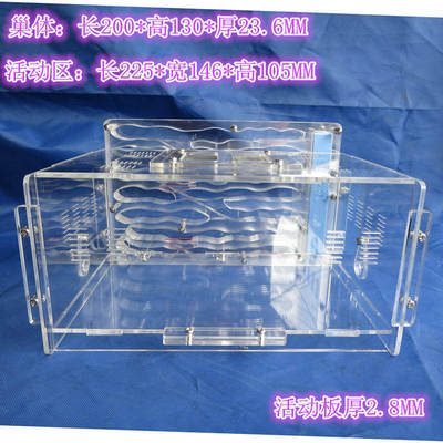 速发【一宠当先】【T5】亚克力蚂蚁巢 带水塔 蚂蚁窝 蚂蚁立体巢